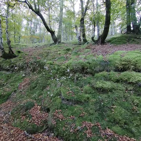 Сasa de vacaciones Quirós Tranquila De Salcedo 2