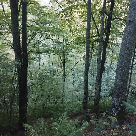 Quiros Tranquila De Salcedo 2 펜션 La Villa