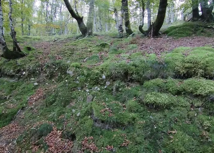 Σπίτι διακοπών Quiros Tranquila De Salcedo 2