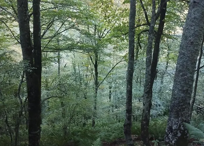 Quiros Tranquila De Salcedo 2 Σπίτι διακοπών La Villa
